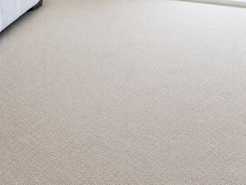 Carpet cleaning Melbourne after