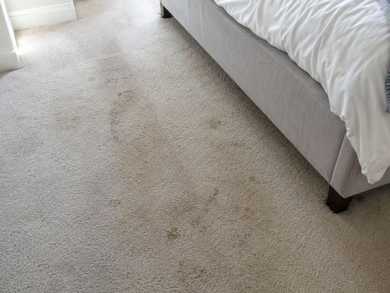 End of lease carpet cleaning before