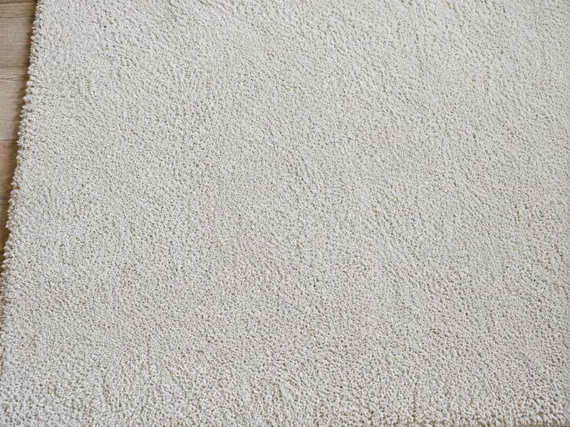 Rug cleaning Melbourne after