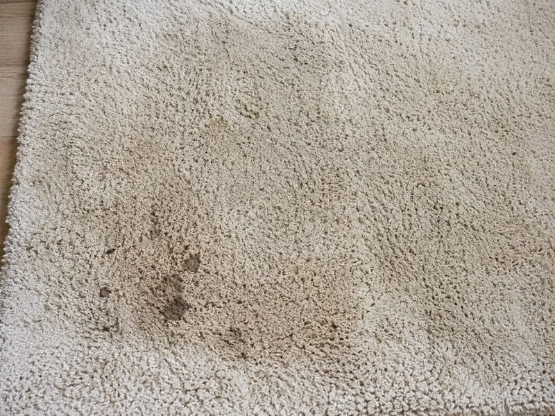 Rug cleaning Melbourne before